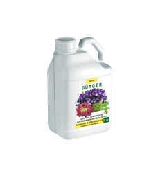 Fertilizers for spring flowers and greens